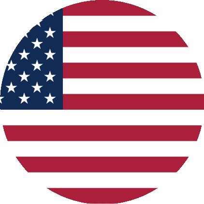 Energetic reprogramming clients in USA