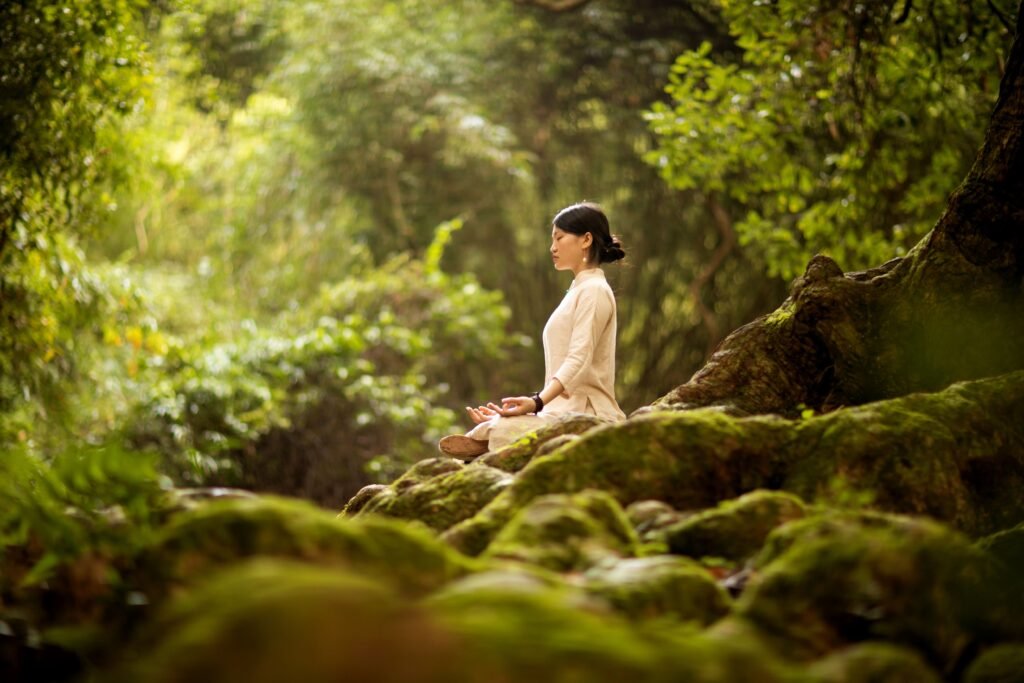 Woman meditating in a lotus position on moss-covered rocks in a forest, representing the theta brainwave state